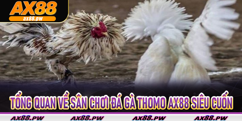 Tổng quan về sân chơi đá gà thomo Ax88 siêu cuốn