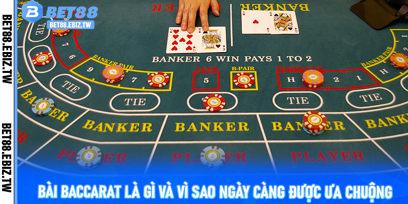 Bài Baccarat là gì và vì sao ngày càng được ưa chuộng